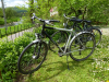 16 Bicycles for rent Domstolat lowres