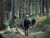 18 boswandeling lowres