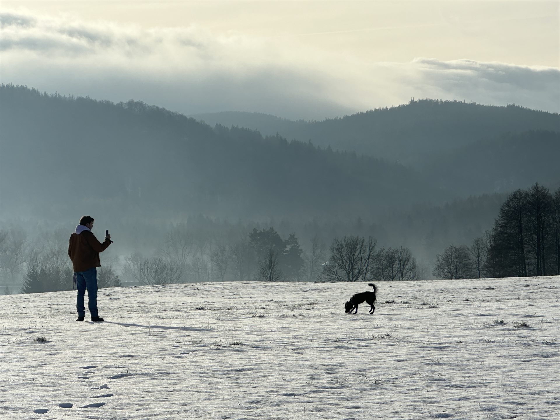 Winter walk with a dog on the land at Domstolat